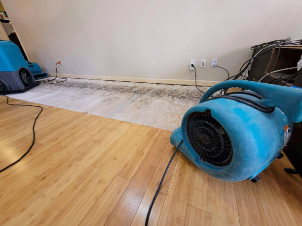 Professional Basement Flood Cleanup technician working in Otsego, MI